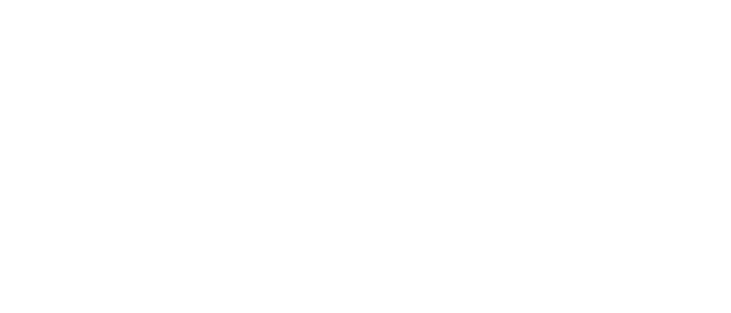 Sebastijan Orlić - Kvaliteta života - Longevity